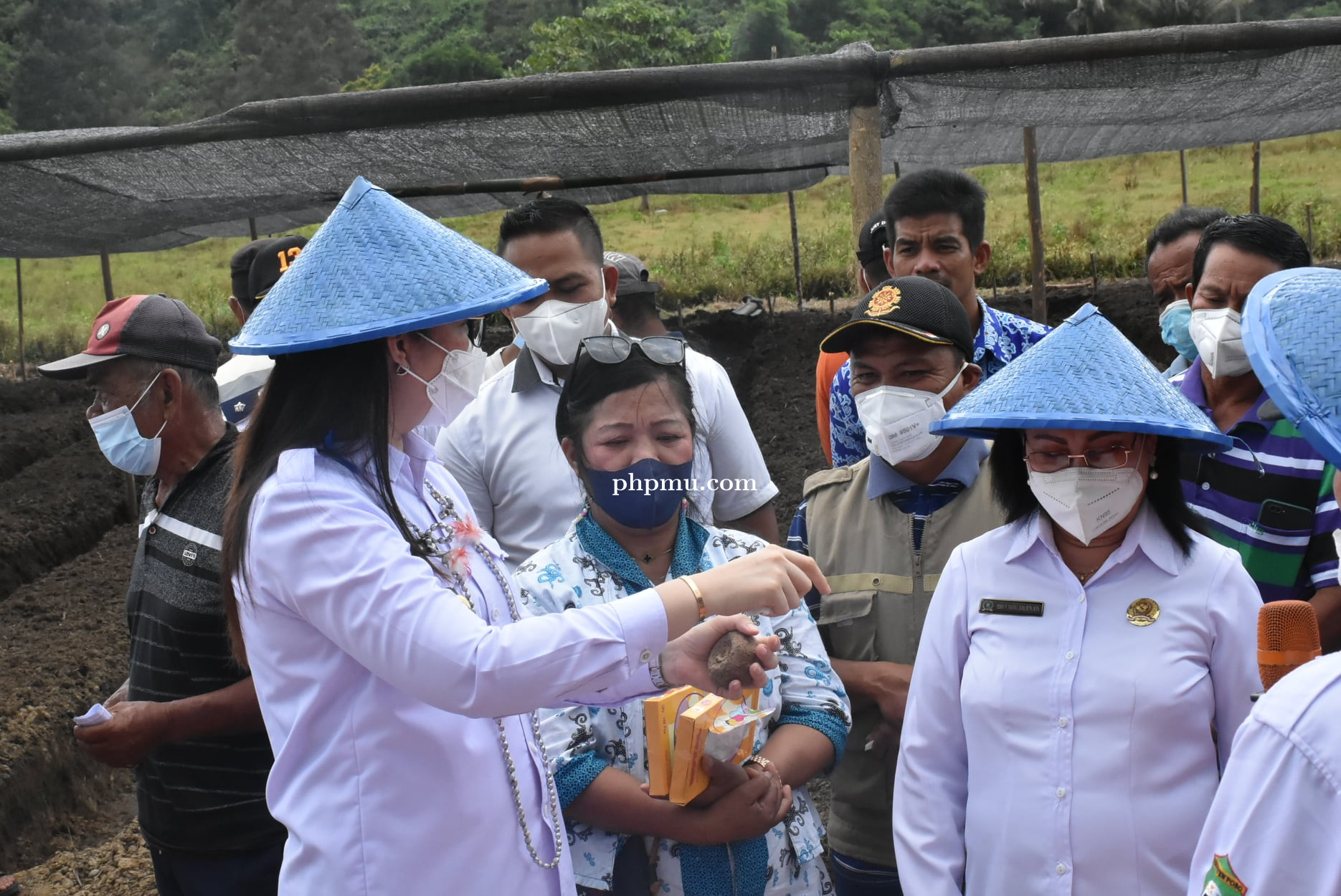 Bupati Poso Secara Simbolis Menanam Palawija dan Budidaya Tanaman Porang di Desa Tonusu